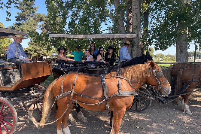 Colchagua Valley Private Tour: Montes + Clos Apalta - Gravity-powered Clos Apalta cellar visit and tastings