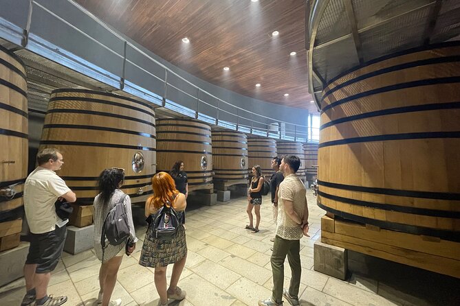 Colchagua Valley Private Tour: Montes + Clos Apalta - What makes the tastings here feel premium, not just touristy