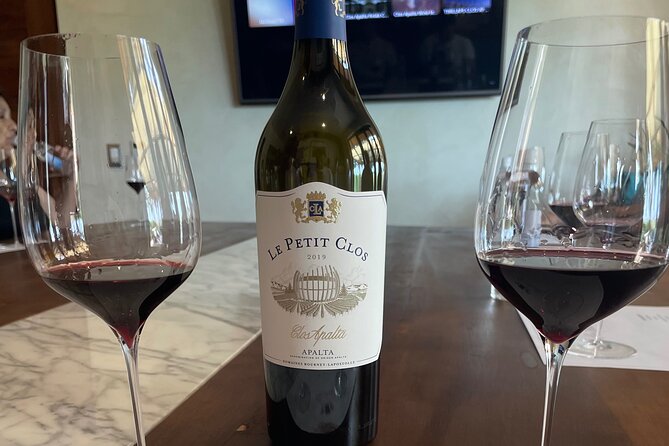 Colchagua Valley Private Tour: Montes + Clos Apalta - Price and logistics for a 10 to 12 hour private day