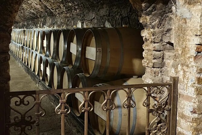 Concha y Toro semi-private tour with 3 wine tastings - Entering Viña Concha y Toro With Felipe and a Plan for Your Tasting