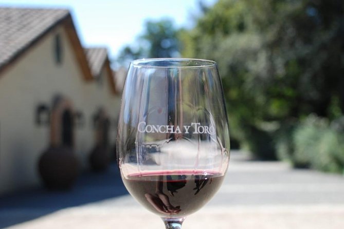 Concha y Toro Vineyard - Concha y Toro, the half-day format that saves your schedule
