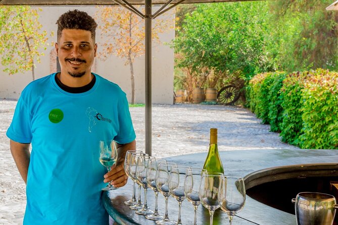 Concha y Toro Vineyard - Pickup, timing, and the key reality check