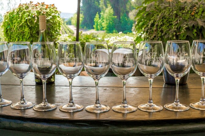 Concha y Toro Vineyard - Inside the vineyard tour: guided story, tastings, and the pace
