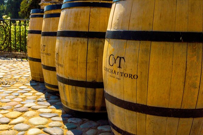 Concha y Toro Vineyard - Casillero del Diablo area: a famous stop with variable depth
