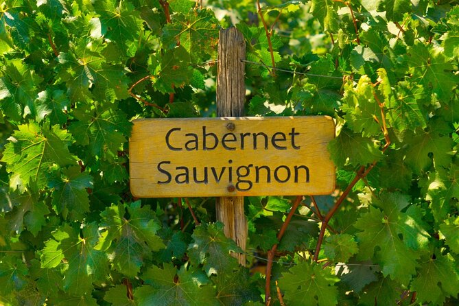 Concha y Toro Vineyard - Wine shop stop: how to use it wisely, not automatically