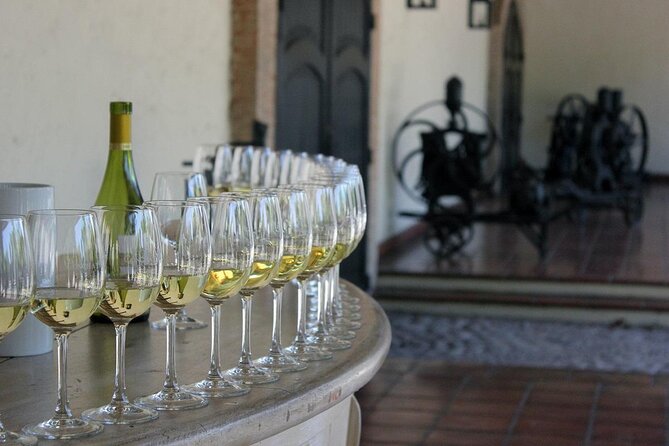 Concha y Toro Vineyard Tour From Santiago - Key highlights of this Concha y Toro tour from Santiago