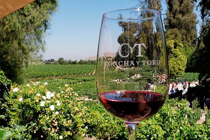 Concha y Toro Vineyard Tour From Santiago - Why Concha y Toro fits well for a 2:00 pm start in Santiago