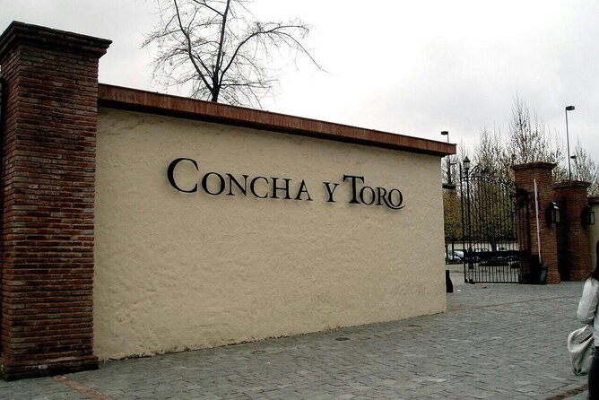 Concha y Toro Vineyard Tour From Santiago - Private tour feel: how the trilingual guide changes the day