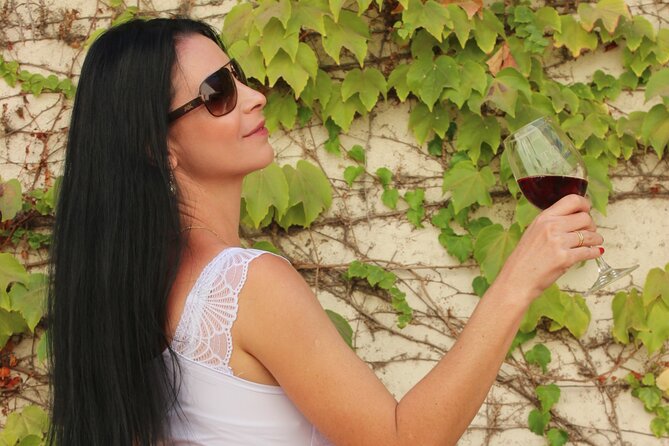 Concha y Toro Vineyard Traditional Tour - Why Concha y Toro makes sense for a Santiago wine day