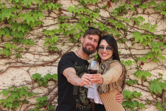 Concha y Toro Vineyard Traditional Tour - The guided walking tour: grapes, vineyard basics, and the “how wine happens” story