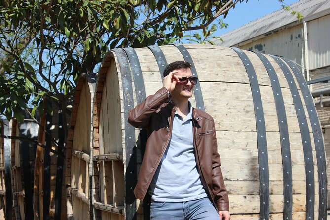 Concha y Toro Vineyard Traditional Tour - Small group size: why 17 people matters more than you think