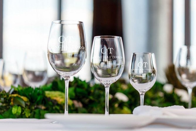 Concha y Toro Vineyard - Price and logistics: what $130 buys you, and what it does not