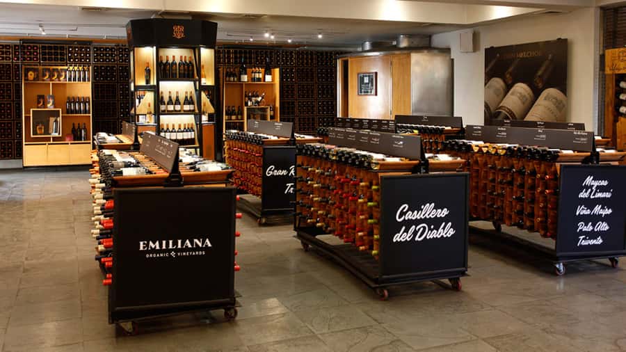 Concha y Toro Wine Tour with Dinner at the Winery - Key Highlights to Know Before You Go