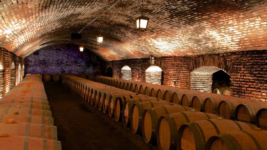 Concha y Toro Wine Tour with Dinner at the Winery - Pickup in Santiago Areas That Actually Save Time
