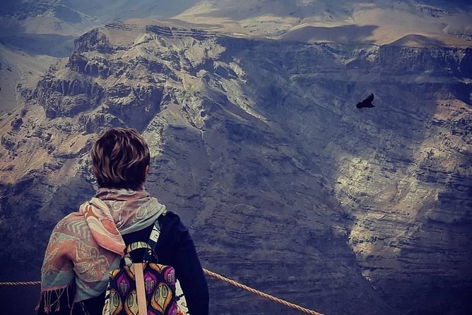 Condor watching tour at the Andes + Artisan Village in Santiago - Key highlights worth your attention