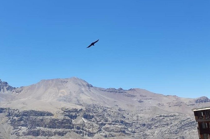 Condor watching tour at the Andes + Artisan Village in Santiago - Timing and weather: how to maximize your odds of seeing condors