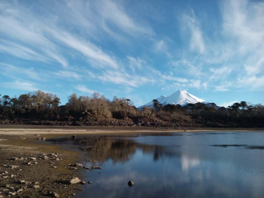 Conguillío National Park Tour, Full day - The 4x4 ride: comfort, safety, and why the vehicle choice matters