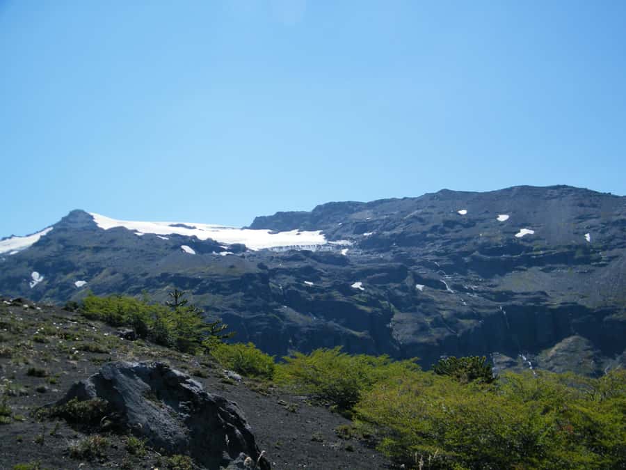Conguillío National Park Tour, Full day - Temuco pickup, timing, and how the day flows (9:00 to 18:00)