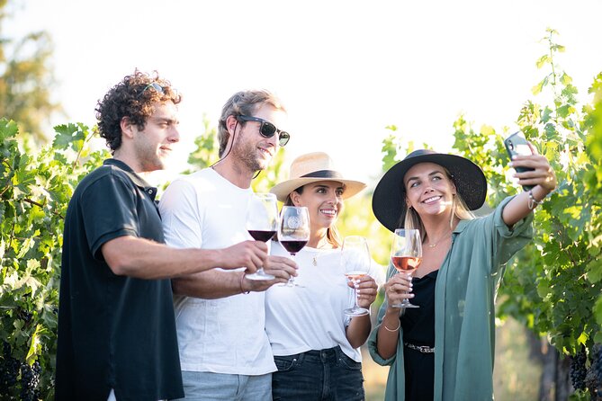 Cousino Macul Private Vineyard Tour with 6 Wine Tastings - Key things you should know