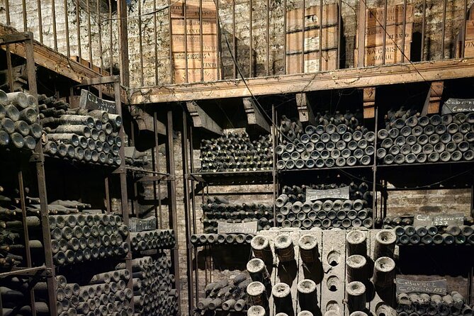 Cousino Macul Private Vineyard Tour with 6 Wine Tastings - Underground cellar and museum: where the tour adds depth