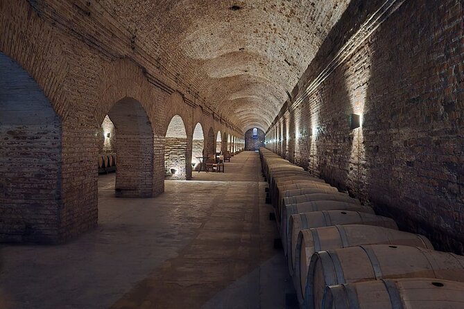 Cousino Macul Private Vineyard Tour with 6 Wine Tastings - Free time to explore and shop, without the pressure