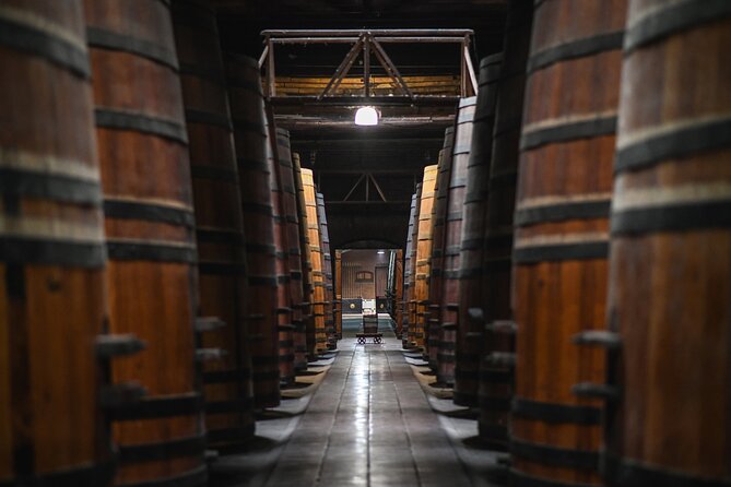 Cousino Macul Private Vineyard Tour with 6 Wine Tastings - Price and value at $149 per person for a private, tasting-focused half day