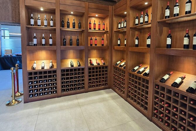 Cousino Macul Private Vineyard Tour with 6 Wine Tastings - The 3 hours 30 minutes plan, paced for a wine tour that feels unhurried