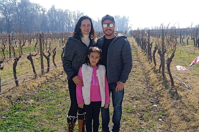 Cousiño Macul Vineyard - Maipo Valley - Premium Tasting - HD - Cousiño Macul and Why This Vinery Trip Works So Well Near Santiago