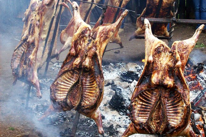 Coyhaique Tour Shore Excursion from P. Chacabuco, include lunch - Who this Coyhaique shore excursion suits best