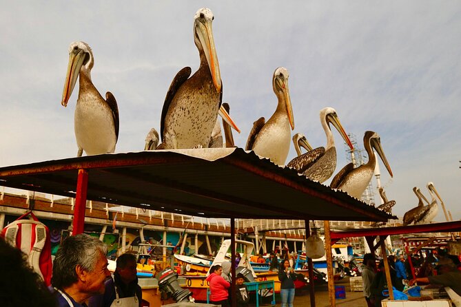 Cruise Ship Transfer to Valparaiso Port with 6 Hour tour + Winery - Ascensor El Peral and Cerro Alegre: Your Included Funicular Moment plus Lunch Freedom