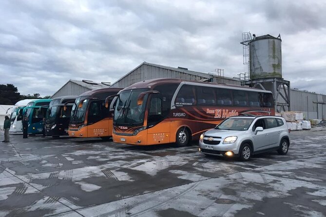 Cruise Shore Private Excursion Osorno Volcano & Petrohué Falls - Price and value: what you pay for, and what you still need to bring