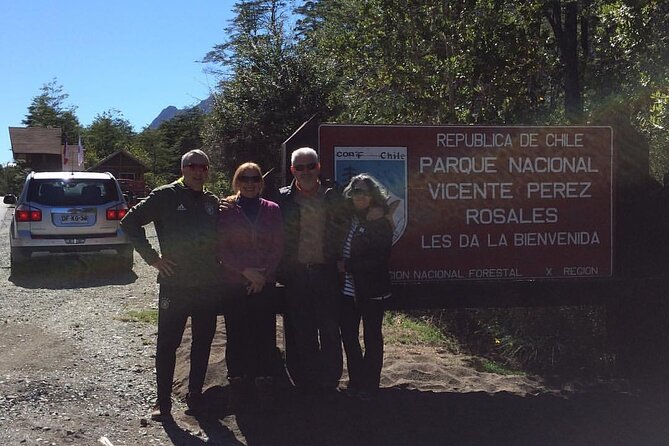 Cruise Shore Private Excursion Osorno Volcano & Petrohué Falls - Who this tour fits best (and who should think twice)