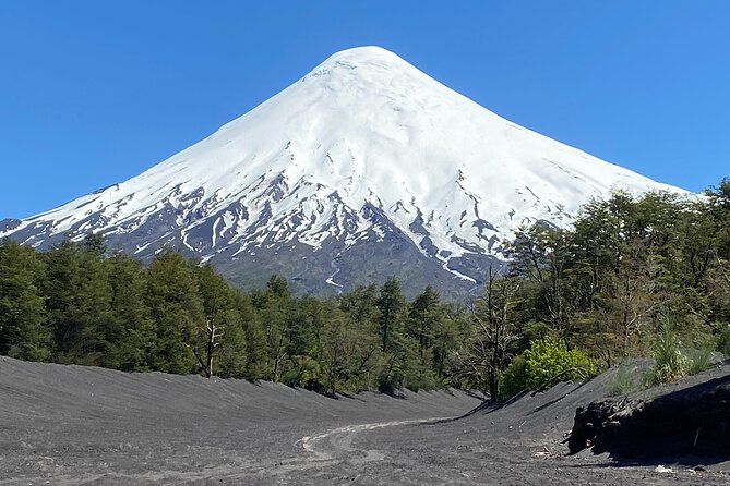 Cruise Shore Private Excursion Osorno Volcano & Petrohué Falls - What to do before you go for the smoothest 6 hours
