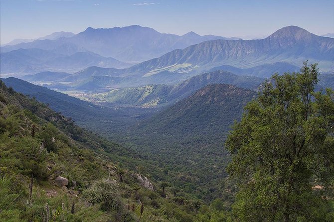 Darwin's Route: Traversing the Chilean Palm Forest - Stop 1: Parque Nacional La Campana and starting at Ocoa
