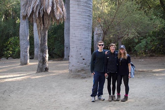 Darwin's Route: Traversing the Chilean Palm Forest - Getting there from Santiago: early start, easy pickup, real comfort