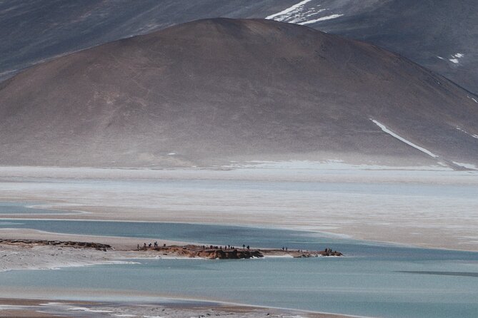 Day Tour to Piedras Rojas and Altiplanic and Chaxa Lagoons - Key Highlights You Should Know