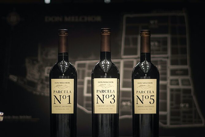Don Melchor Premium Wine tour - Puente Alto Cabernet Tasting, Plus the Latest Don Melchor