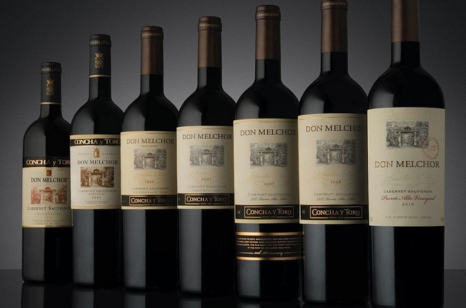 Don Melchor Premium Wine tour - Who This Tour Suits Best, and Who Should Skip It