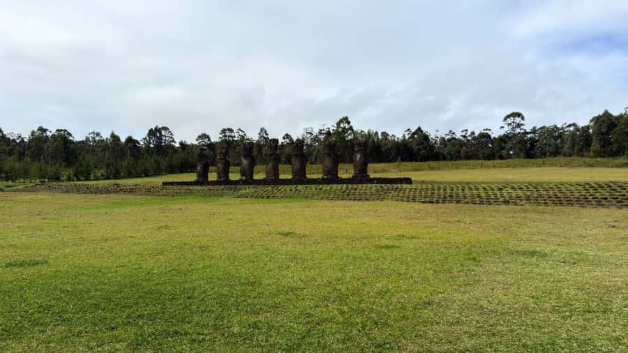 Easter Island: Half-Day Archaeology Tour - Hanga Roa pickup, then south into Rapa Nui National Park