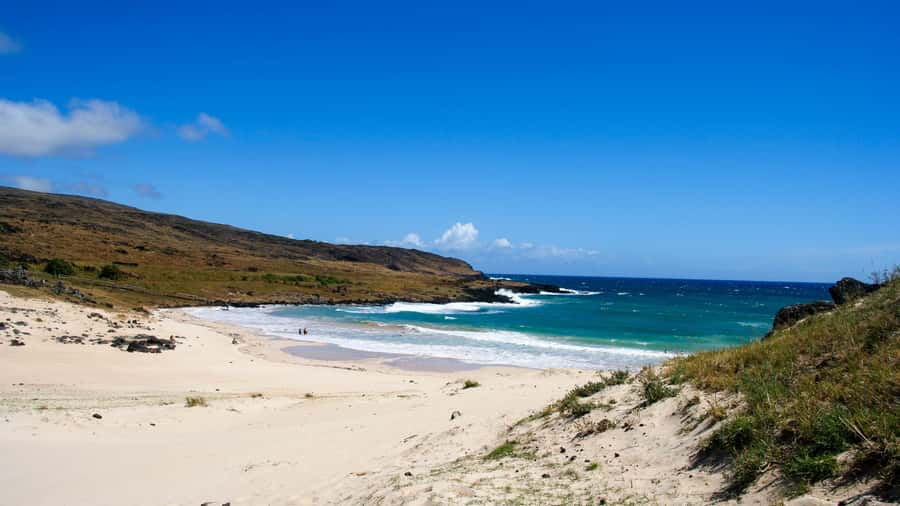 Easter Island: Moai Full Day Private Tour - Price and Value: Is $219 Per Person Worth It?