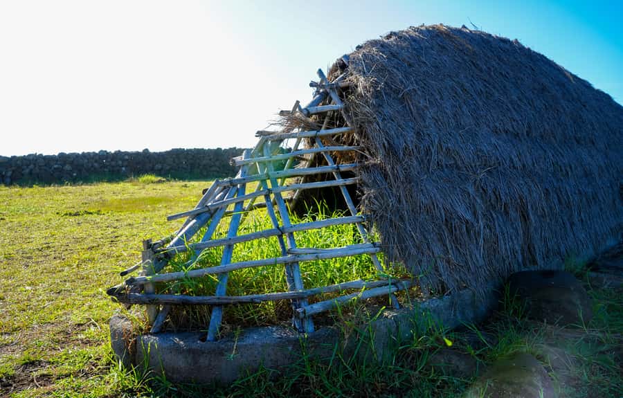 Easter Island: Private Full Day History Of The Moai - Ahu One Makihi: A Supine Moai Moment for the Details People Miss