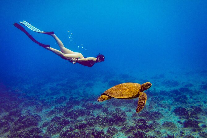 Easter Island Snorkeling on Coral Reefs - Safety rules that actually change the experience