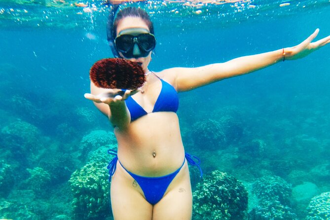 Easter Island Snorkeling on Coral Reefs - Rapa Nui National Park, the start of a reef day