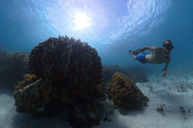 Easter Island Snorkeling on Coral Reefs - What to pack, especially if it is your first snorkel