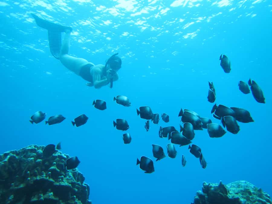 Easter island: Snorqueling tour on coral reefs - Hanga Roa pickup and the short jeep ride to the start