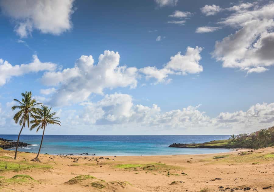 Easter Island: The Moai Trail Private Archeological Tour - Rapa Nui History, Tribal Wars, and Why the Ruins Matter