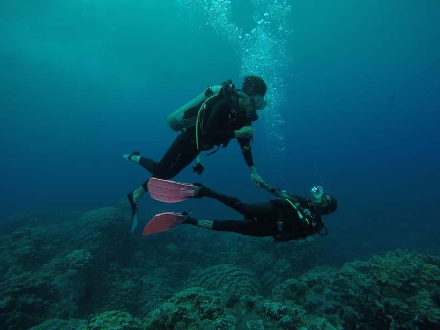 Easter Island: Tropical Diving - Key highlights you should know