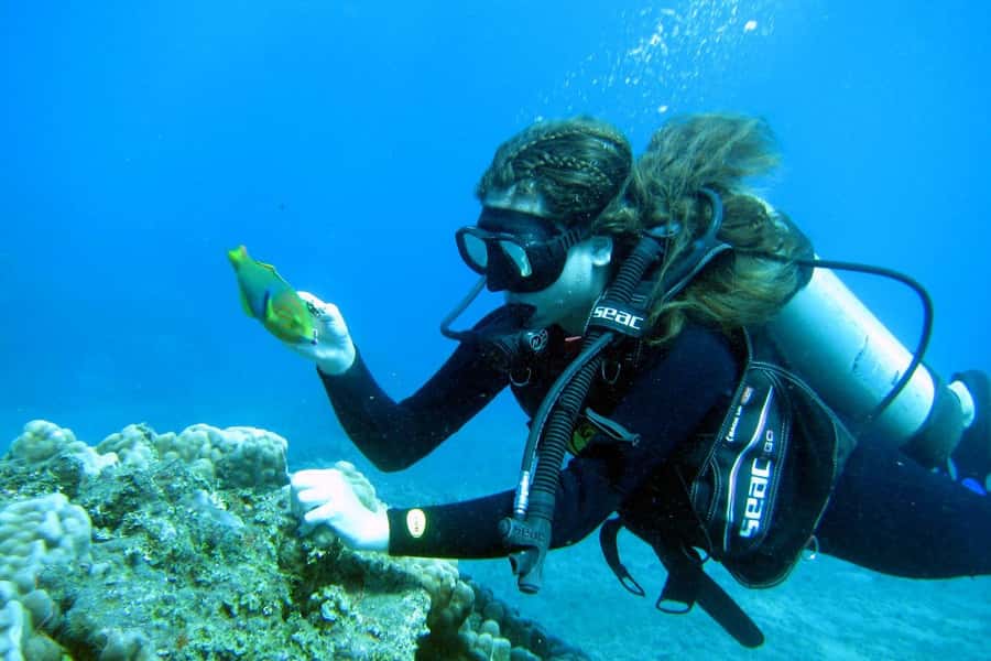 Easter Island: Tropical Diving - Why Rapa Nui’s underwater swim feels like a “Pacific of its own”