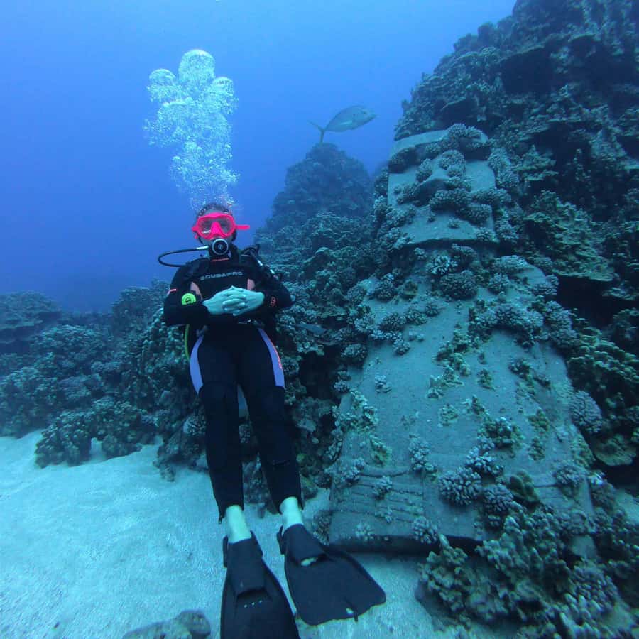 Easter Island: Tropical Diving - Gear is included, so you can focus on buoyancy and breathing