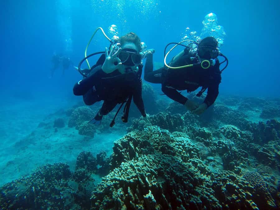 Easter Island: Tropical Diving - Hanga Piko to the underwater spot: how the 150 minutes really plays out
